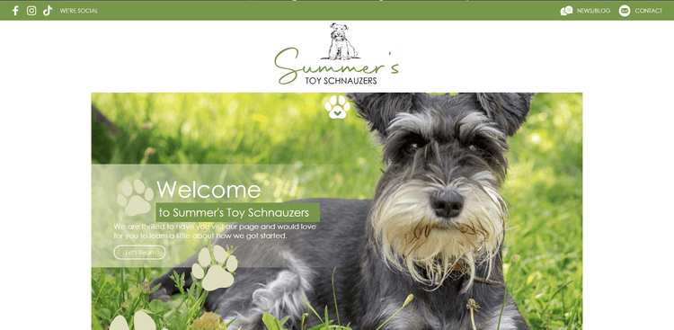 Summer's Toy Schnauzers